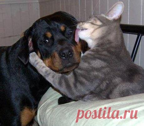 Милый, дорогой, любимый, единственный...