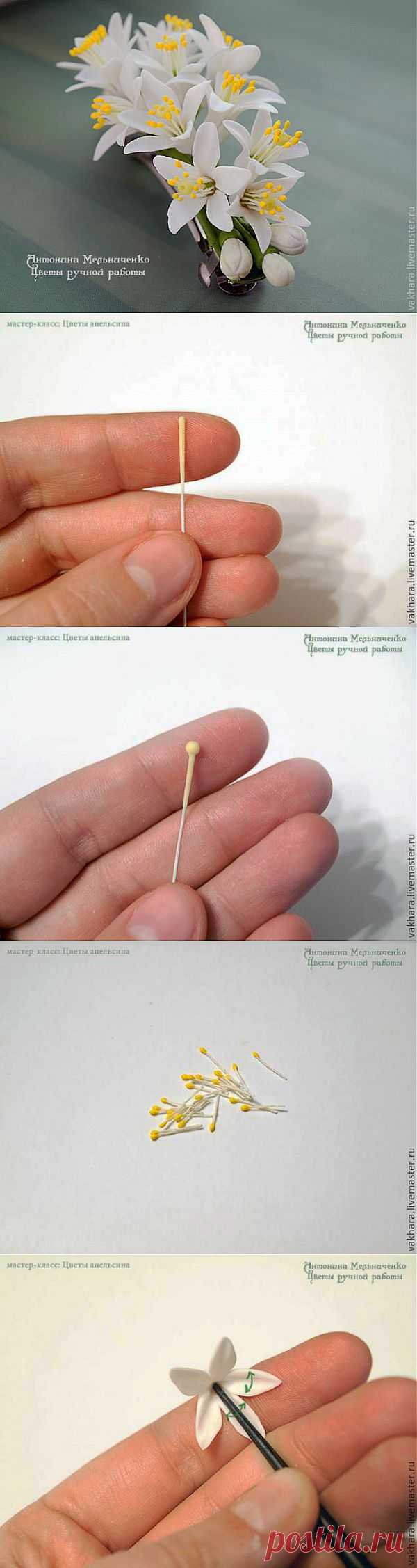 Цветы из холодного фарфора и полимерной глины - Часть 5. Цветы апельсина - Ярмарка Мастеров - ручная работа, handmade