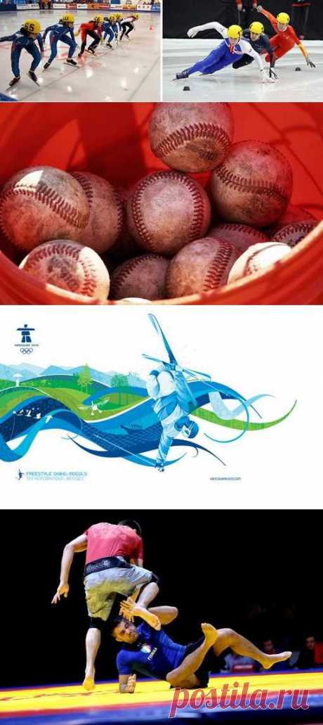 Конный спорт, Плавание, Айкидо, Санный спорт. (1/1) - Спортивный форум. - Спортивный сайт