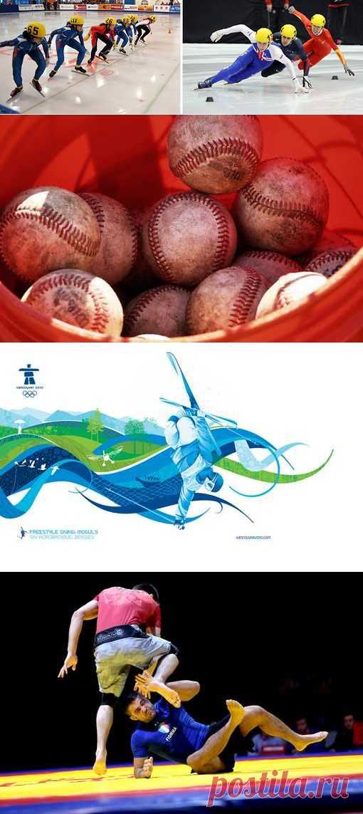 Конный спорт, Плавание, Айкидо, Санный спорт. (1/1) - Спортивный форум. - Спортивный сайт