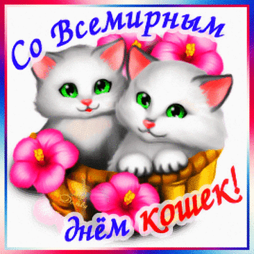 Коты и кошки — эти милые создания
Всегда достойны нашего внимания!
Без кошек невозможно нам прожить,
Давайте кошечек лелеять и любить!
Со Всемирным Днем Кошек!