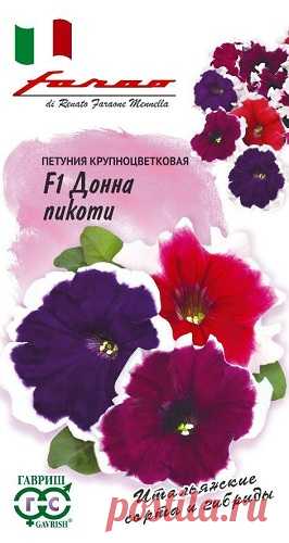 Петуния "Донна Пикоти F1", крупноцветковая смесь