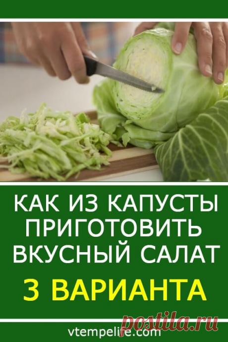 Как из капусты приготовить вкусный салат? 3 варианта | В темпі життя