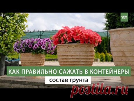 Цветы - посадка в кашпо. Контейнерное озеленение в ландшафтном дизайне