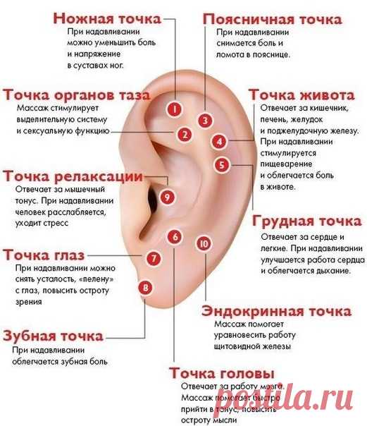 Массаж ушей — залог здоровья всего тела