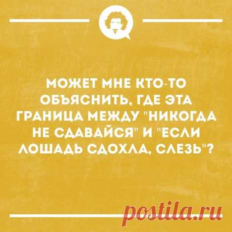 Интеллектуальный юмор