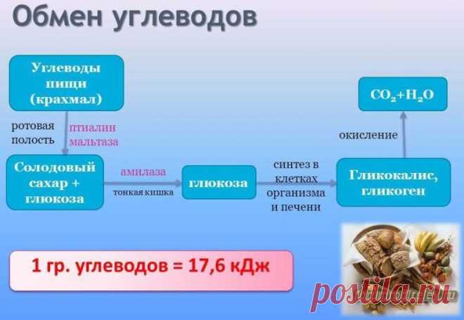 Птиалин. Что это :: социальная сеть родителей