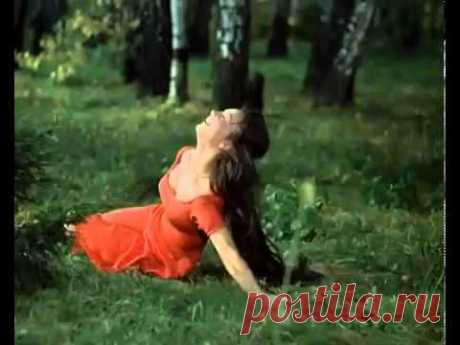 EUGEN DOGA - WALTZ &quot;MY SWEET and TENDER BEAST&quot; - YouTube
