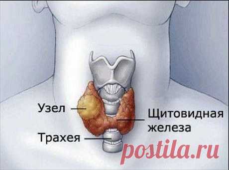 Марина Серницкая