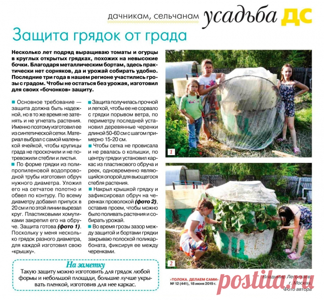 Защита грядок от града