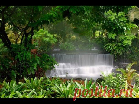 Своеобразная Природа Японии (док.фильм 2009) - YouTube