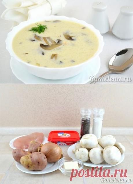 Грибной суп с плавленым сыром