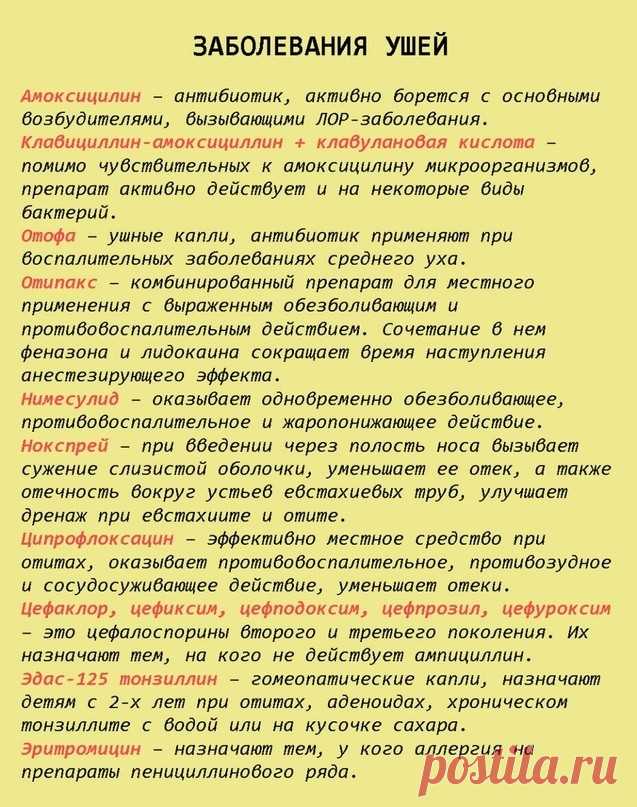 Шпapгалка на всю жизнь: 99 лекарств, котopые могут вылeчить почти все!

Бывает так, что лечение необходимо начать немедленно, времени на посещение врача нет. Тогда на помощь может прийти шпаргалка, где собрана информация о 99 самых лучших лекарствах.

Благодаря этим подсказкам вы всегда будете знать, что и когда принять, чтобы помочь себе при простуде, заболеваниях ушей, глаз, горла и т.д.

Перед покупкой и применением каких-либо лекарств обязательно проконсультируйтесь с ...