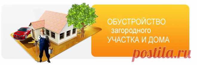 Как вносить удобрения, подкормки для овощей