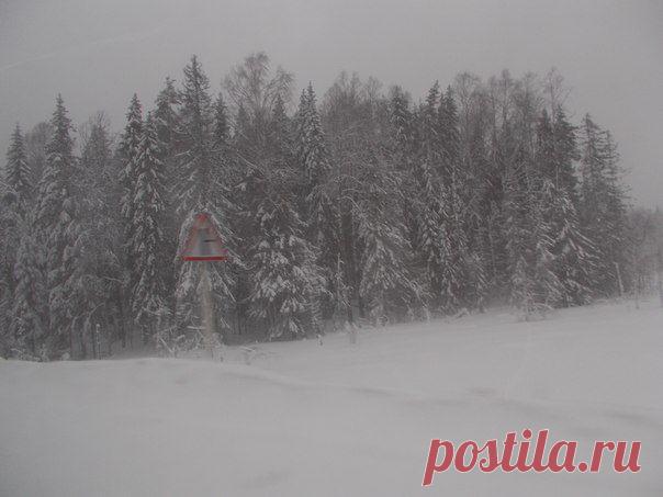 Галина Валовкина    НЛО попало в объектив 16.01.2015 г, Карелия