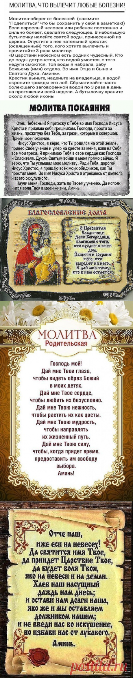 (3) Одноклассники