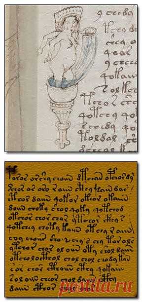 Открытия, которые не смогла объяснить наука. Манускрипт Войнича | НАУКА И ЖИЗНЬ