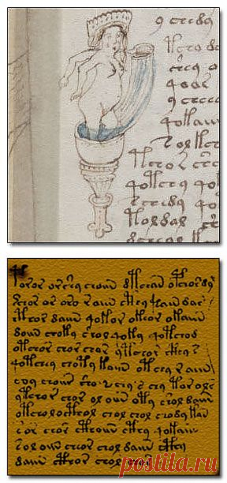 Открытия, которые не смогла объяснить наука. Манускрипт Войнича | НАУКА И ЖИЗНЬ