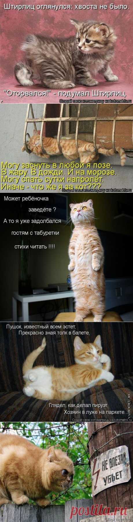 Я пацанчик удалой, не соскучитесь со мной!!! Котики.