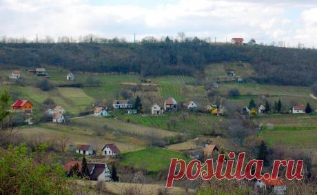 Как легализовать постройку на даче с 1 марта? | Выживи сам