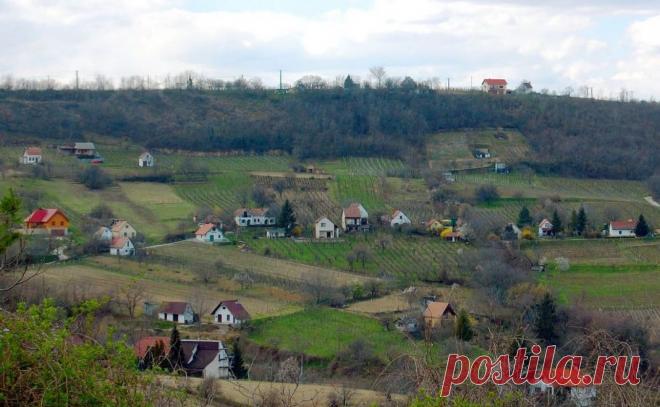 Как легализовать постройку на даче с 1 марта? | Выживи сам