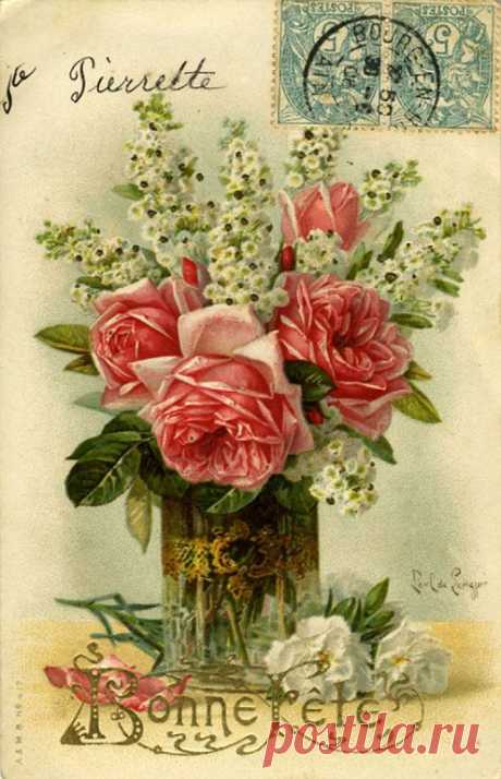 (723) old postcard- C. Klein | Vintage PostCard-FLOWERS