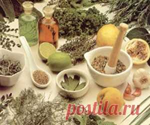 Геморрой: проверенные средства народной медицины