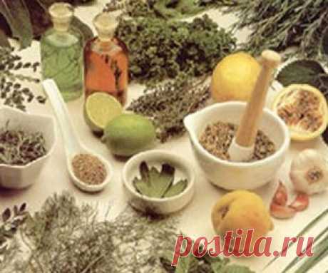 Геморрой: проверенные средства народной медицины