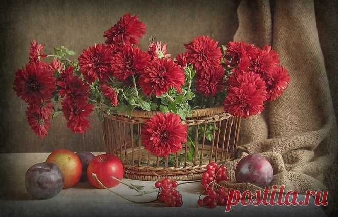 Мой Мир@Mail.Ru