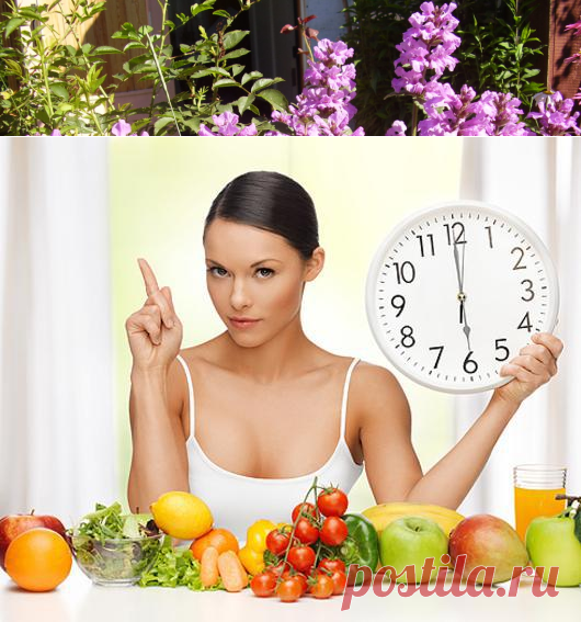 Хочу быстро похудеть | sadok33.ru