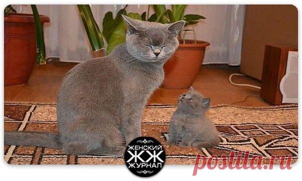 Мой Мир@Mail.Ru