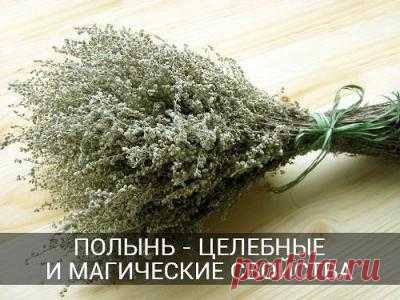 Полынь - целебные и магические свойства