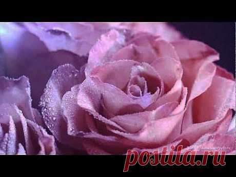 Поздравление с 8 Марта! (Видео) International Women's Day - YouTube