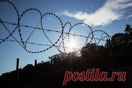 Заключенная неожиданно родила в одиночной камере. Не знавшая о беременности заключенная в американской тюрьме родила ребенка, находясь в одиночной камере. О произошедшем стало известно, когда женщину увидела смотрительница тюрьмы. Роженицу вместе с ребенком госпитализировали. Оказалось, что она не сообщала тюремщикам о ребенке, так как боялась, что те отберут его.