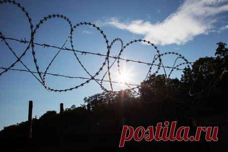 Заключенная неожиданно родила в одиночной камере. Не знавшая о беременности заключенная в американской тюрьме родила ребенка, находясь в одиночной камере. О произошедшем стало известно, когда женщину увидела смотрительница тюрьмы. Роженицу вместе с ребенком госпитализировали. Оказалось, что она не сообщала тюремщикам о ребенке, так как боялась, что те отберут его.