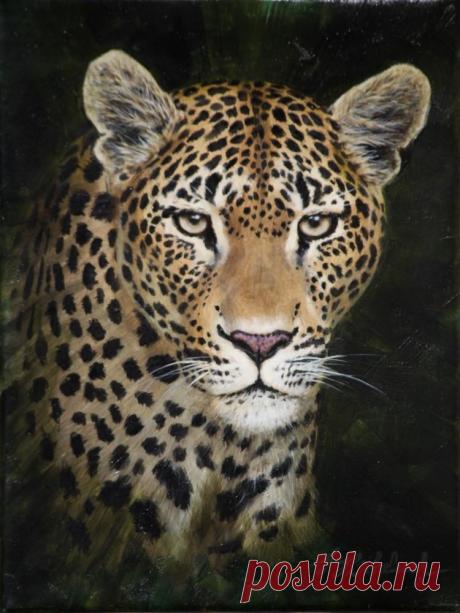 Кошачьи портреты Гая Коэлича - Искусство животных Гая Коэлича