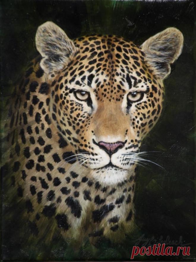 Кошачьи портреты Гая Коэлича - Искусство животных Гая Коэлича