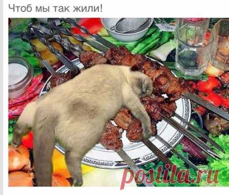 (96) Одноклассники