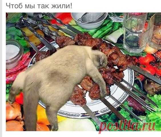 (96) Одноклассники