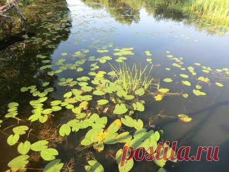 Река Лесной Воронеж. Село Крещено-Гаи. Источник преподобного Алексия.