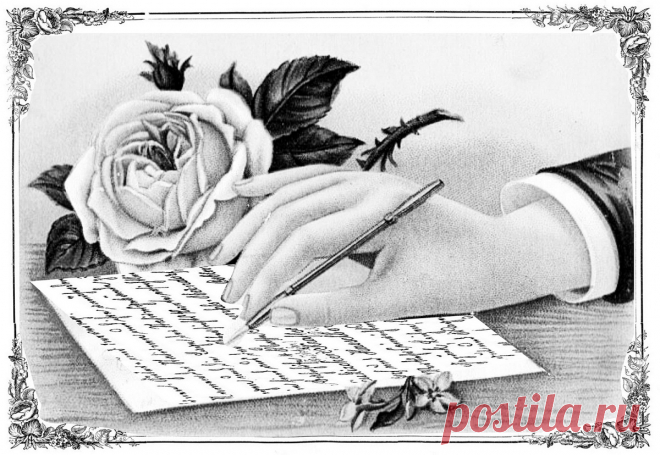 Черно-белые картинки для декупажа: монохромные распечатки, рисунки на фоне бутылки, на мебели мастер-класс