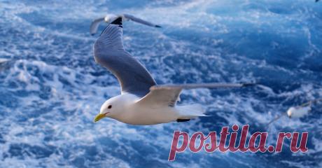 (100+) Мой Мир@Mail.Ru