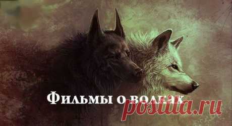 Поиск новостей по запросу весьегонская волчица фильм