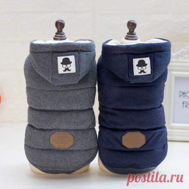 Усы Капюшоном Pet Одежда Для Собак Для Маленьких Собак Зимой Собака Пальто Куртки Хлопка Две Ноги Щенок Чихуахуа Одежда Одежда Костюм купить на AliExpress