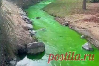 Популярное среди туристов озеро резко изменило цвет и распугало отдыхающих. В Новой Зеландии озеро Уакатипу резко сменило цвет на ядовито-зеленый, что напугало местных туристов. В субботу, 14 августа, туристка из Окленда Джорджия Роуз (Georgia Rose) заметила, что вода у берега озера Уакатипу, популярного среди туристов, начинает менять цвет на ярко-зеленый.