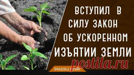 Внимание, всем садоводам с 1 января 2017 вступил в силу закон об ускоренном изъятии земли. С 1 января 2017 года вступает в силу новый закон Федеральный закон от 13.07.2015 № 218-ФЗ «О государственной регистрации недвижимости» (далее – Закон № 218-Ф...