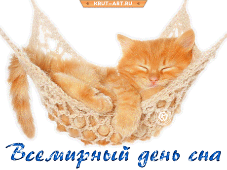 Спать мы любим — это факт,
Праздник сна народный!
Пожелаю в этот день
Вам, друзья здоровья.
Со Всемирным днем сна!
