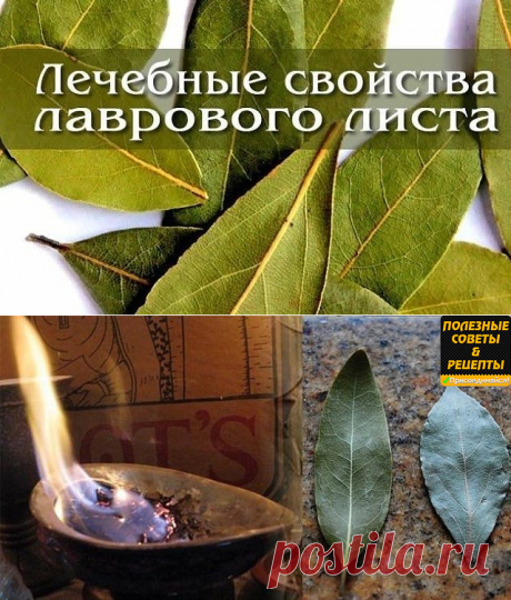Подожгите лавровый лист в своем доме.