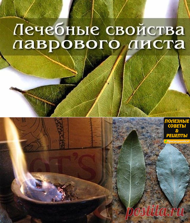 Подожгите лавровый лист в своем доме.
