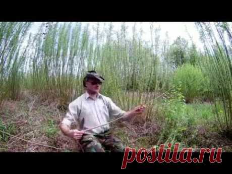 №16. Весенняя заготовка лозы .